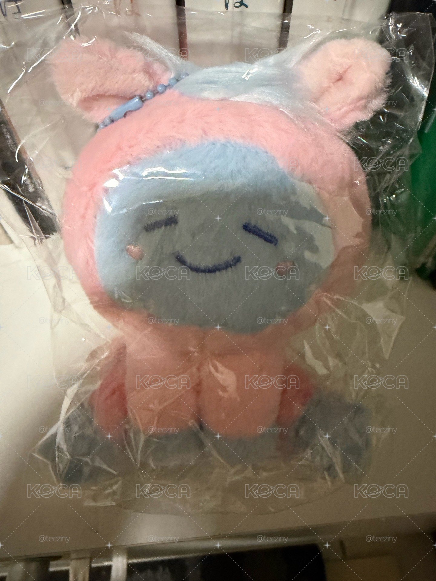 海海赤兔馬