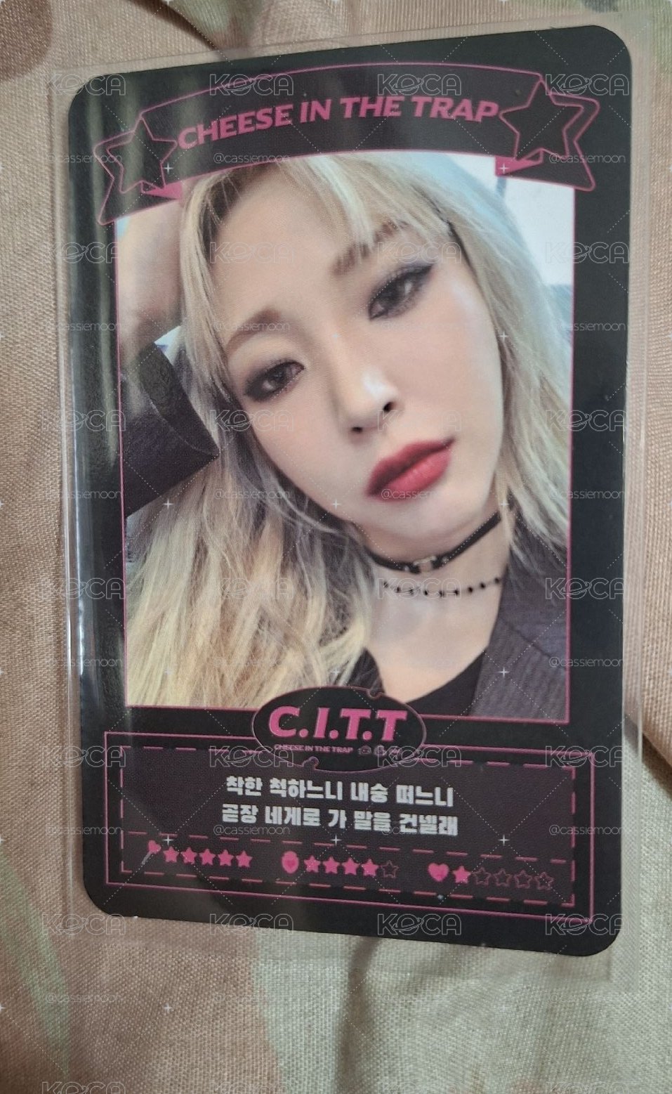 C.I.T.T(Cheese In The Trap)  專輯卡 