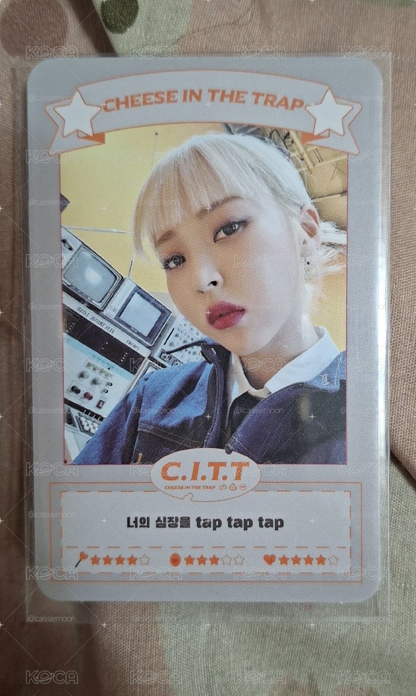 C.I.T.T(Cheese In The Trap)  專輯卡 