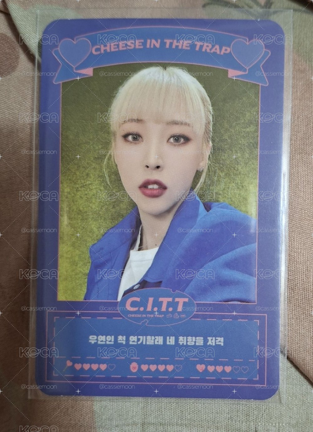 C.I.T.T(Cheese In The Trap)  專輯卡 