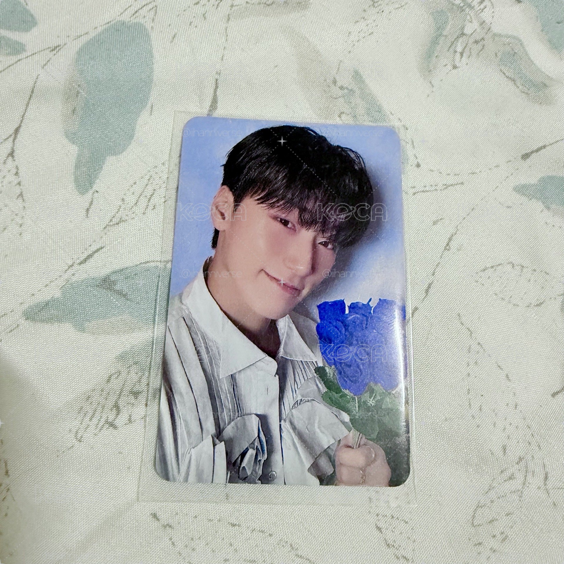 GH2 hellolive藍玫瑰傘