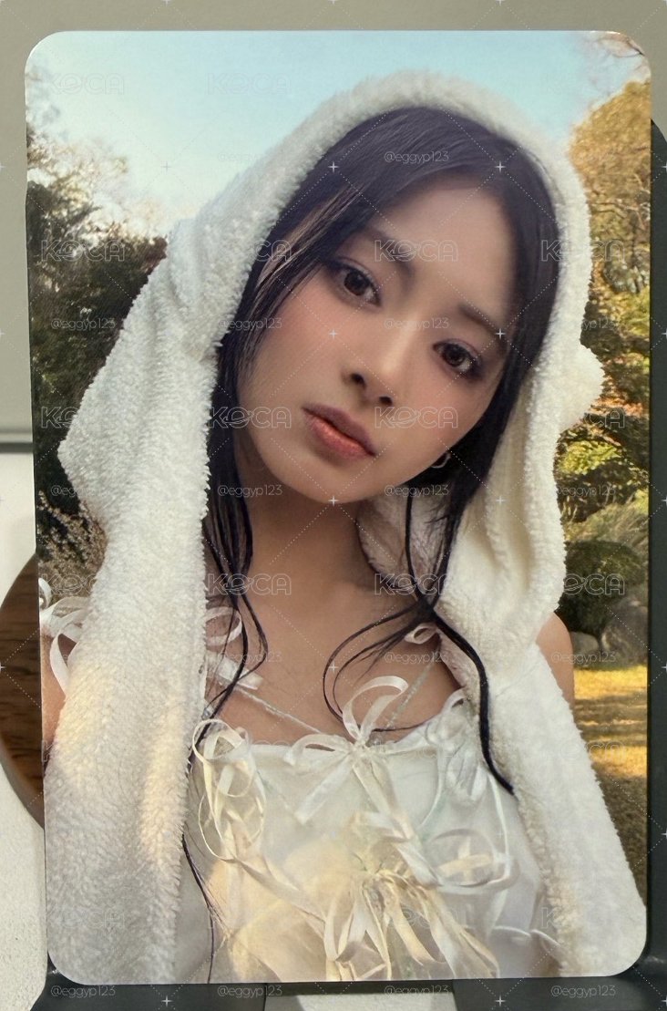 迷13 熊帽子
