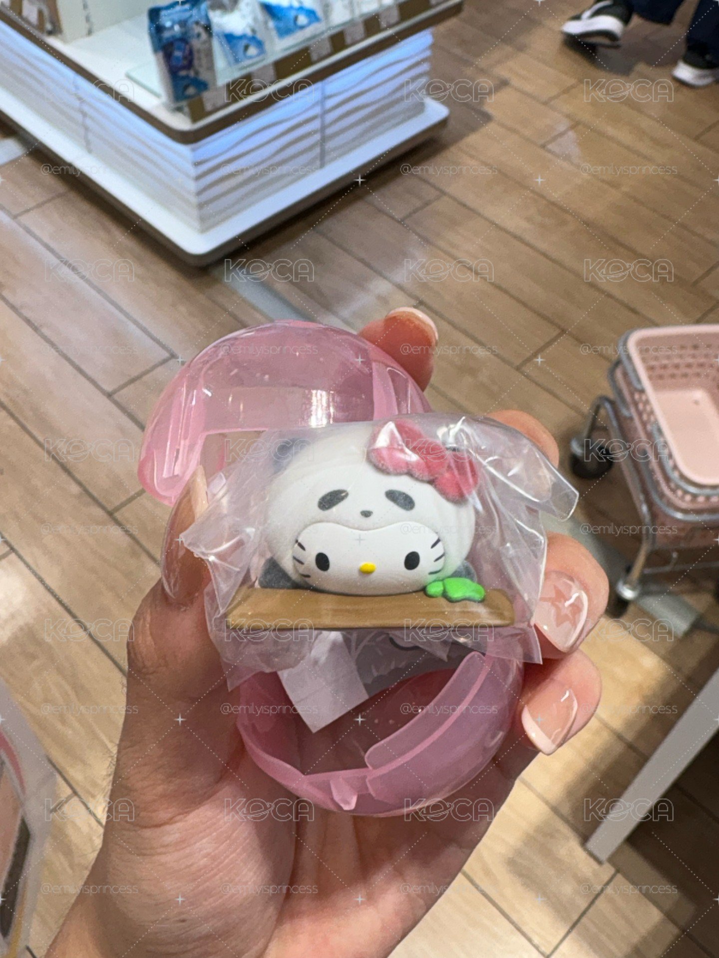 熊貓凱蒂貓
