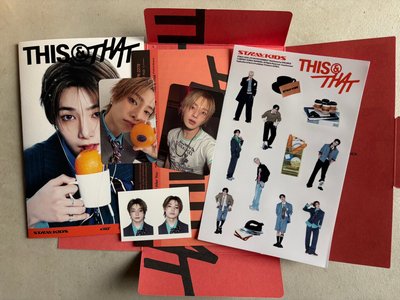 STRAY KIDS THIS & THAT 寅單封全專 已拆