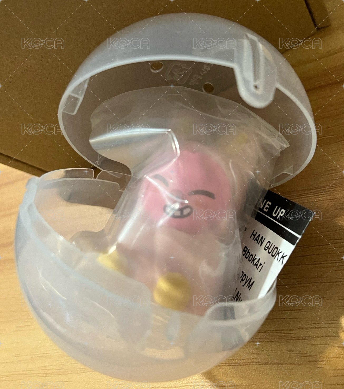 可愛菲+可愛彬