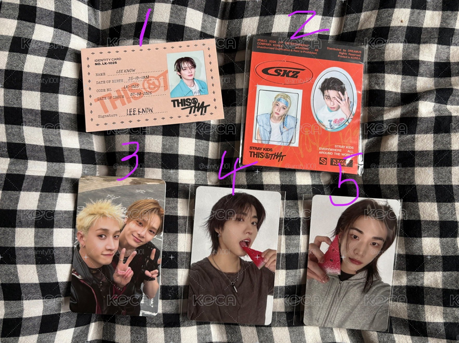 STRAY KIDS THIS & THAT 專輯卡 特典卡 磁鐵
