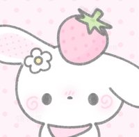 🐰