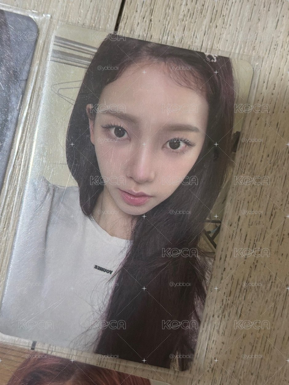 萌萌柚