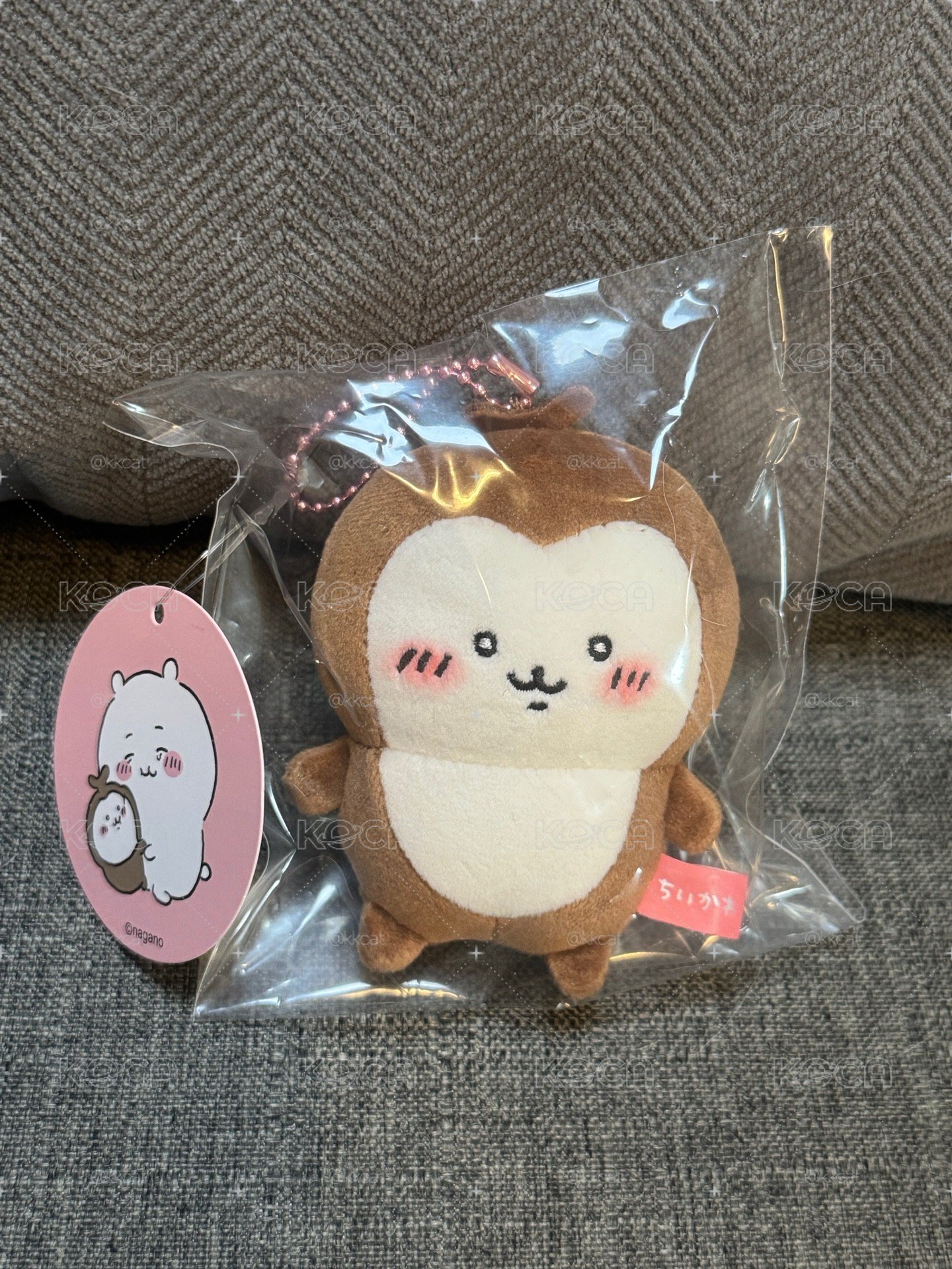 現貨.小甲蟲