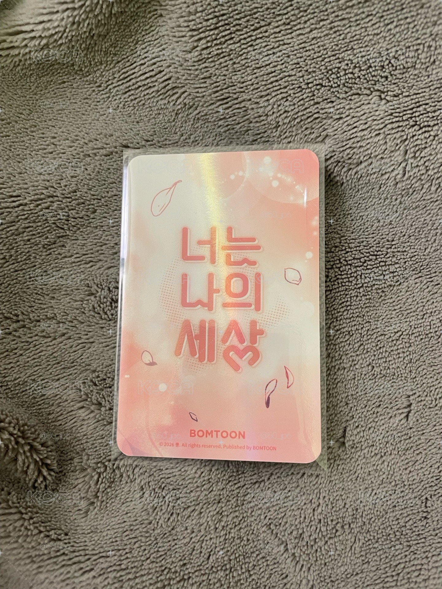 你是我的全世界 朱赫 JMEESHOP 隨機卡