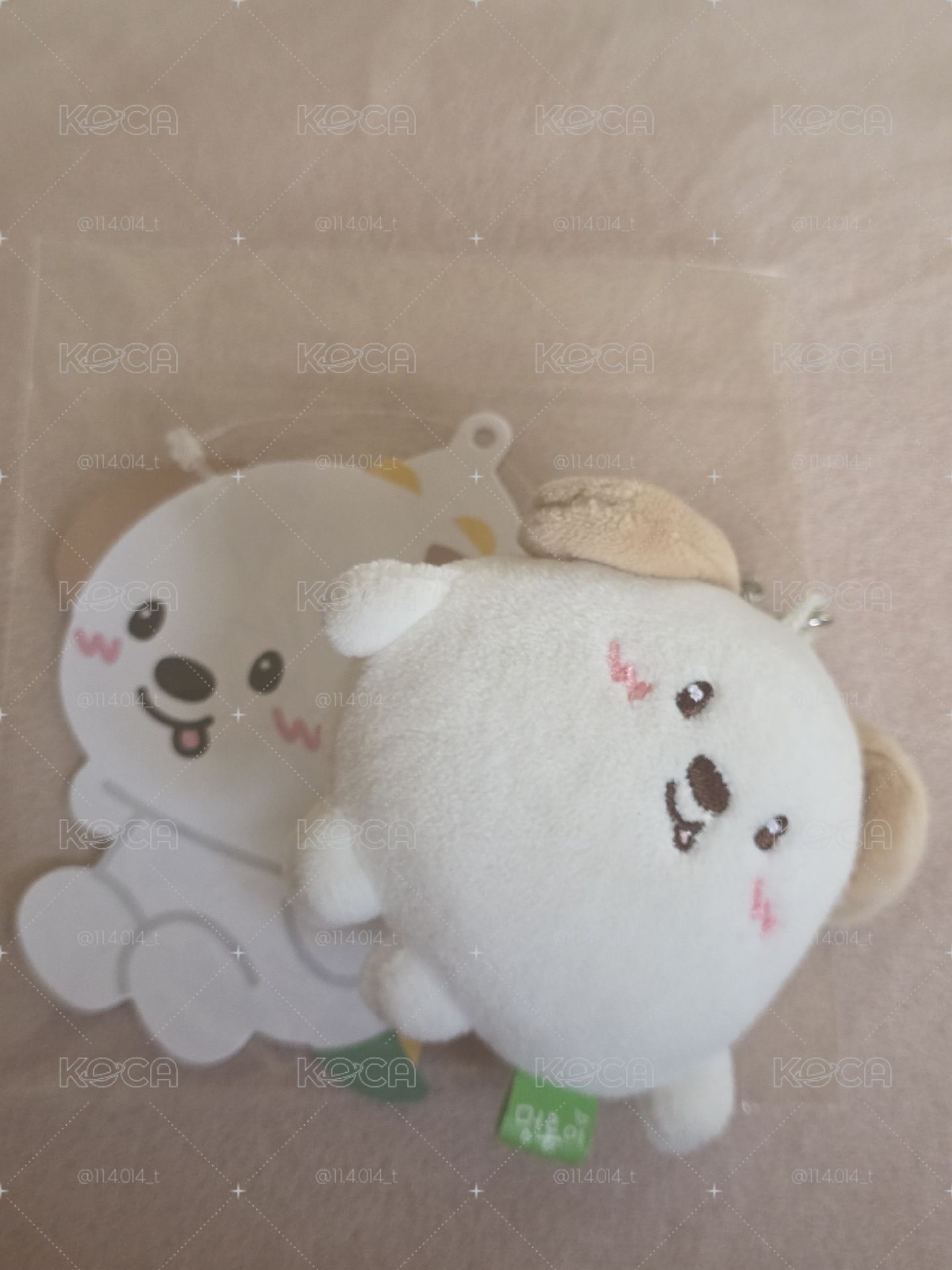 狗龍糰子