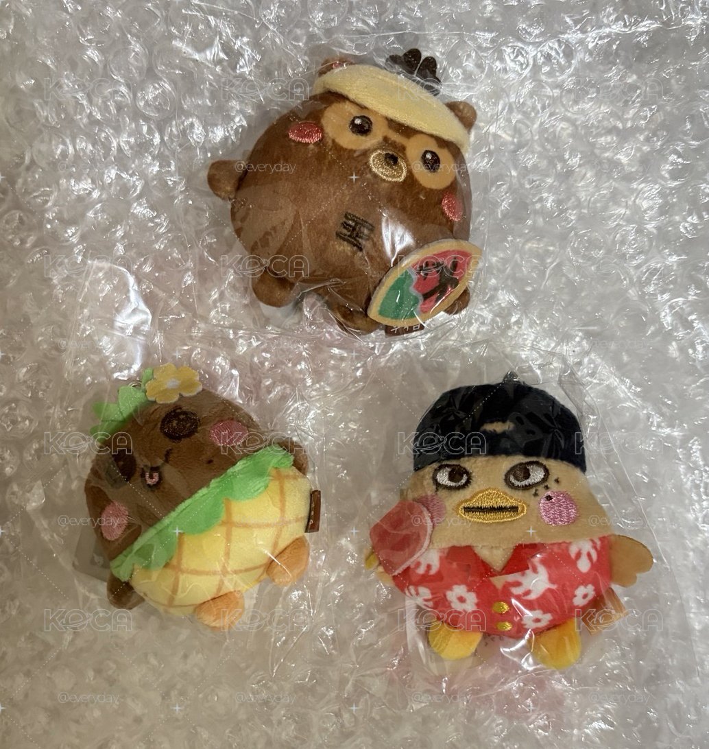 現貨 全新 RIIZE 夏日曬黑娃