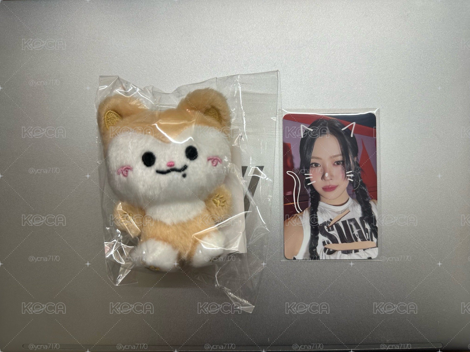 ITZY 三巡日周坐娃