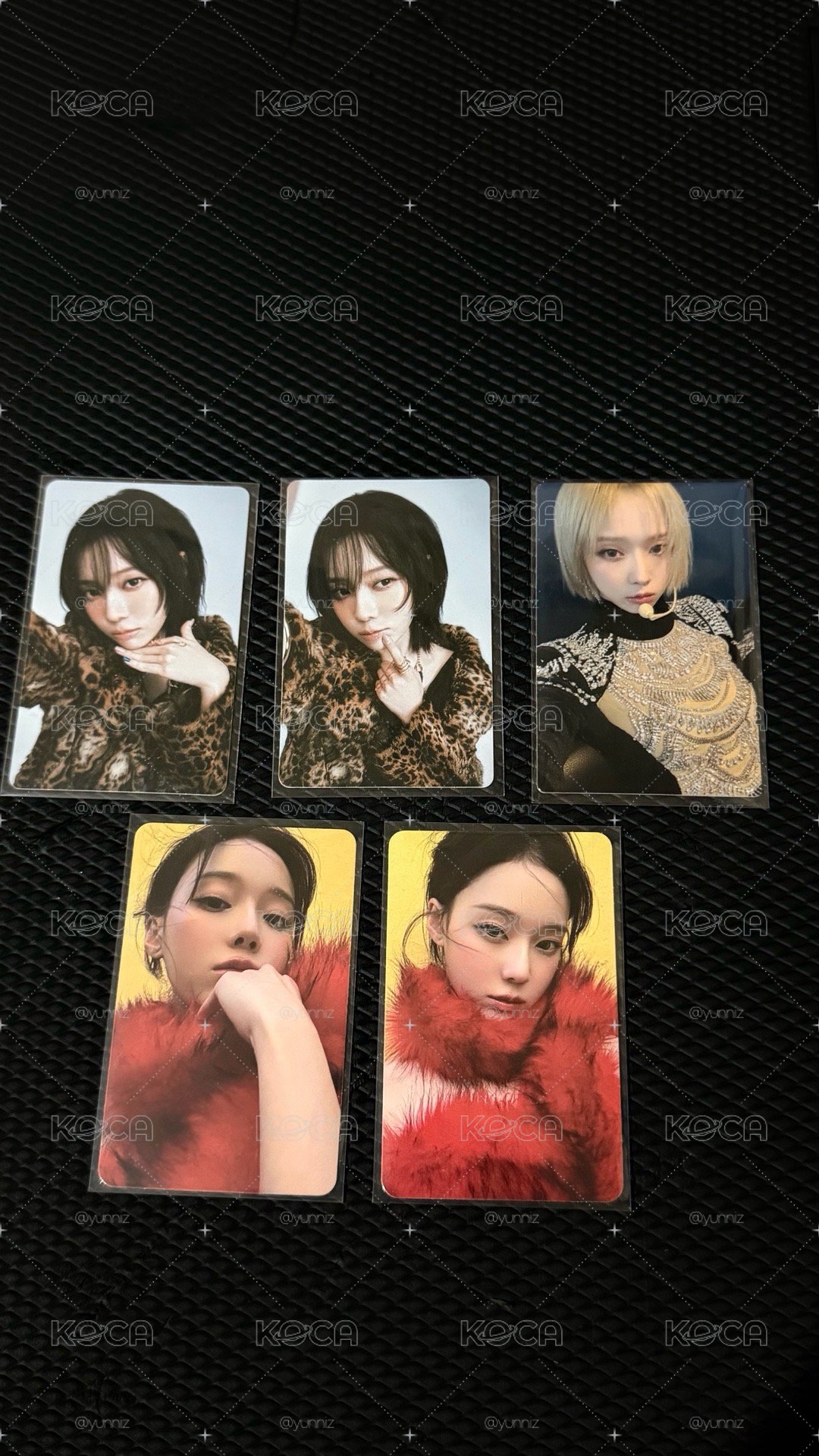 冬小盤