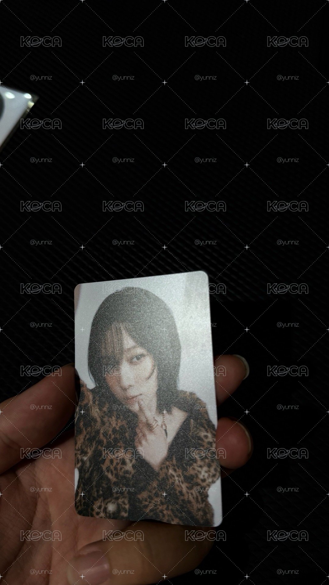 冬小盤