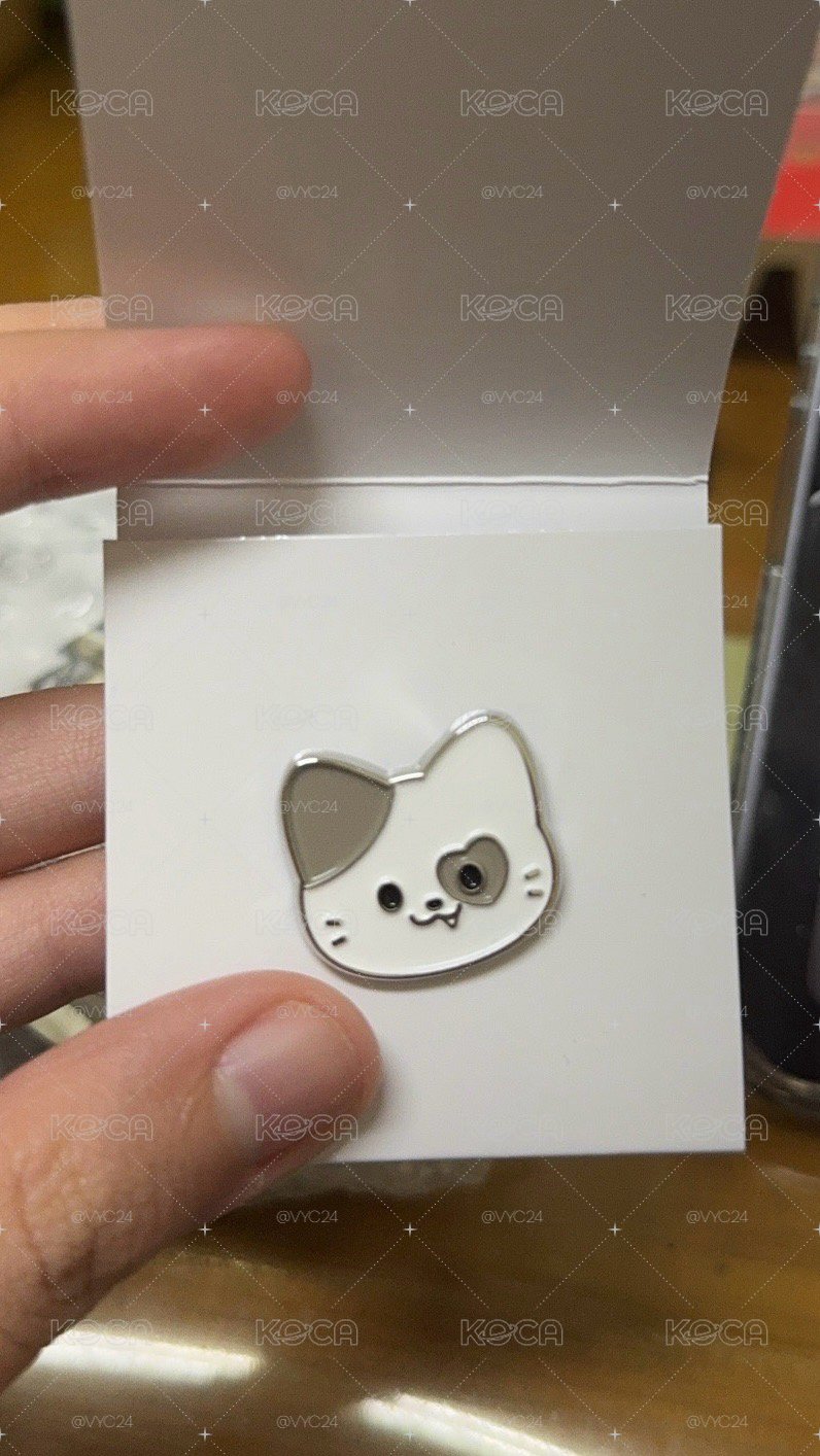 三巡金屬徽章 禮志大頭