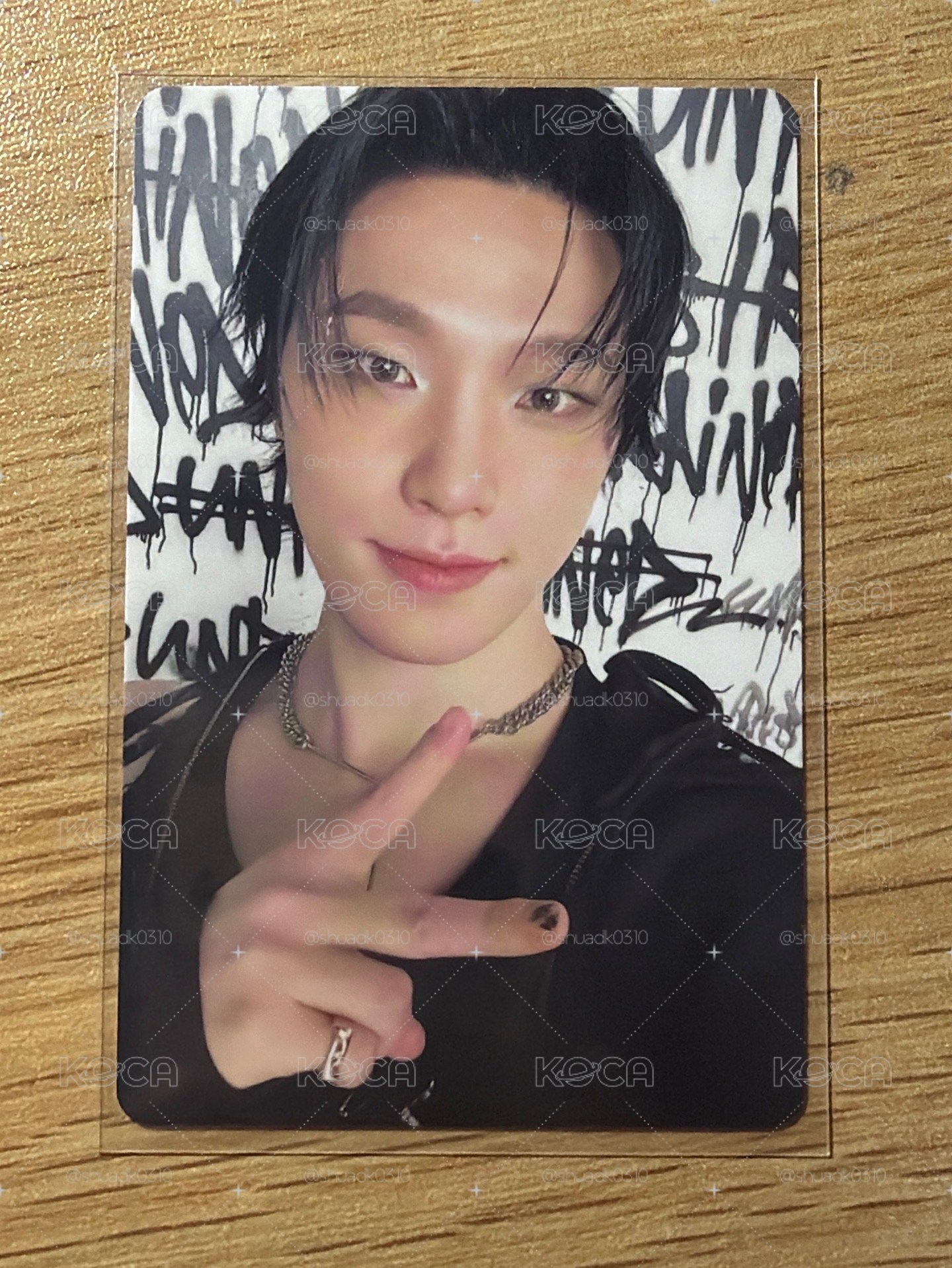 DINO 正五 專輯卡 CARAT ver.
