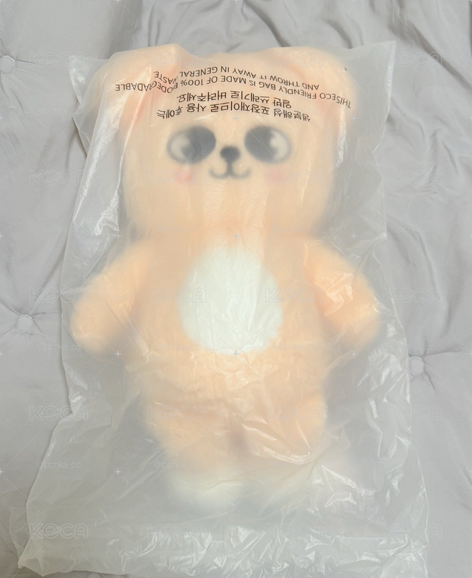 全新玟泰迪