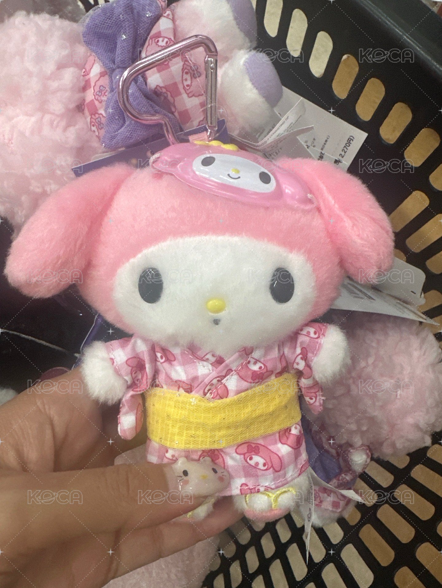 美樂蒂