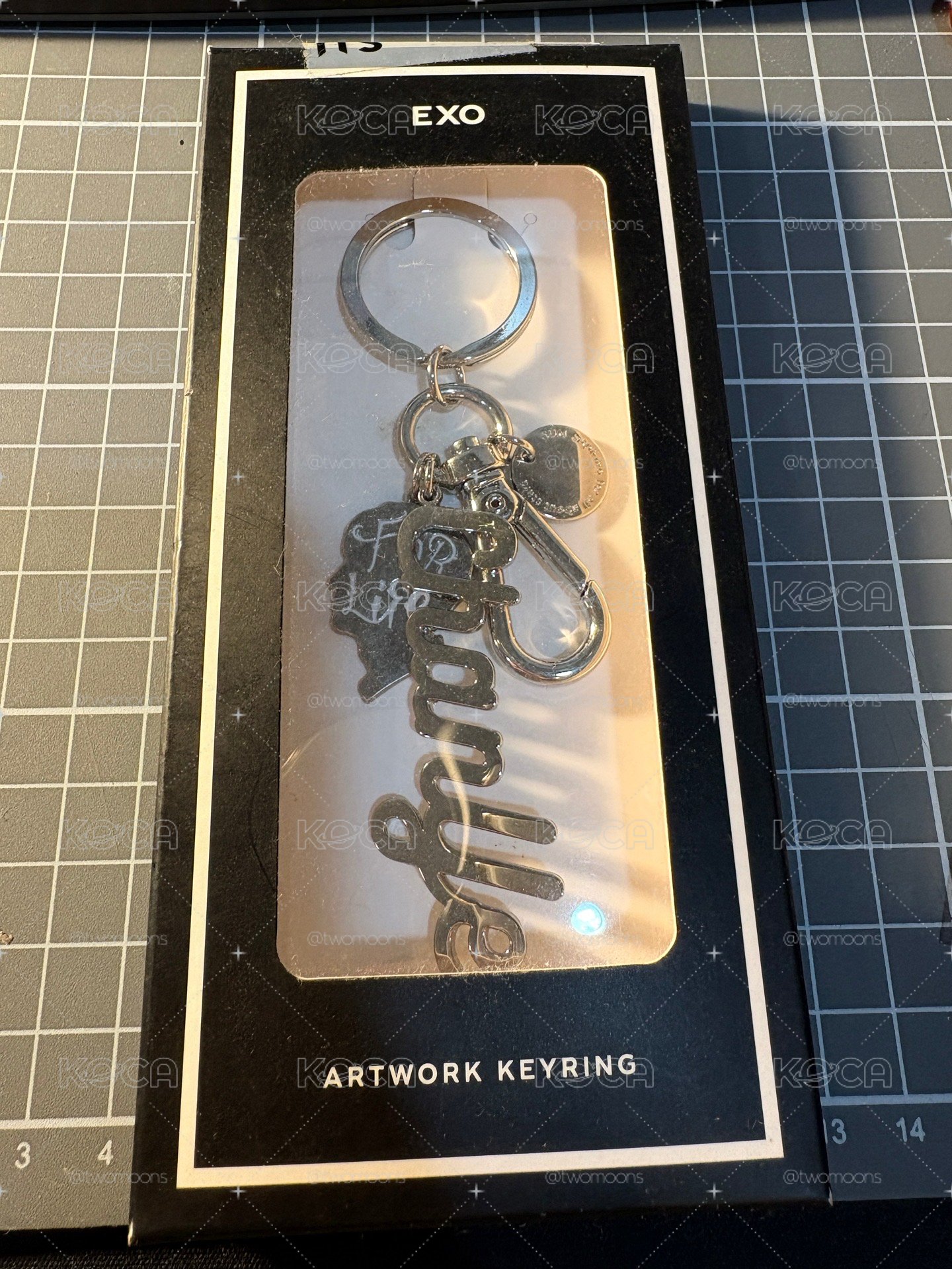 EXO 燦烈 輪廓款 ARTWORK KEYRING 鑰匙圈