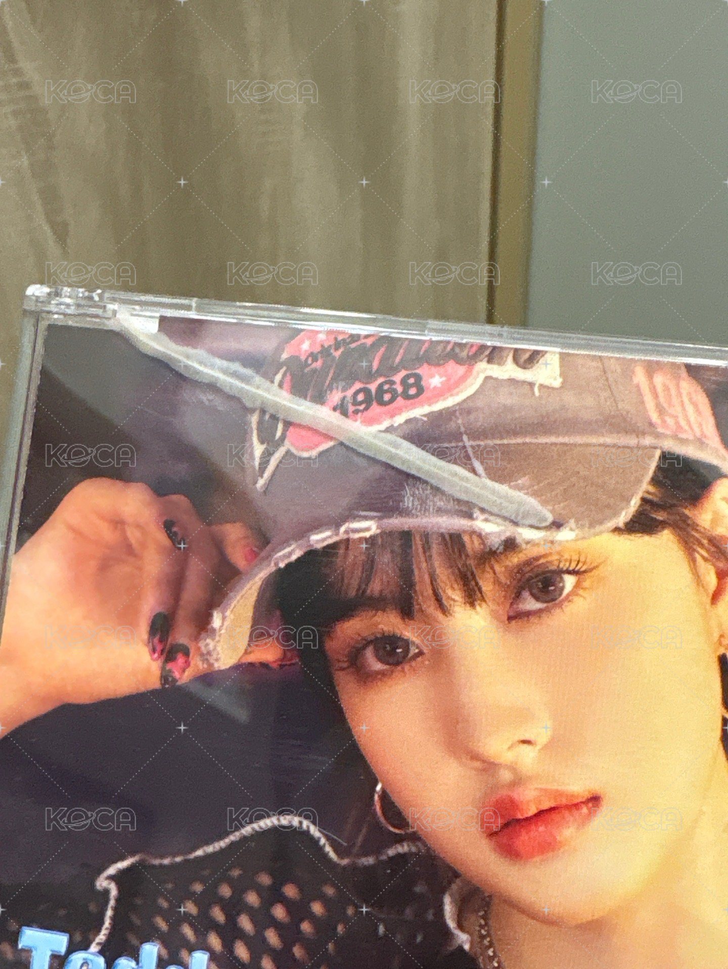 Teddy Bear 日單