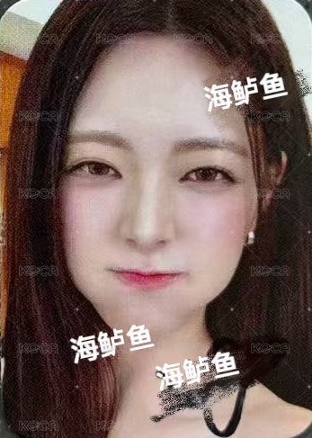 Motto 迷十二 ms 1.0 簽名卡 迷你卡 臉嘟嘟 背面