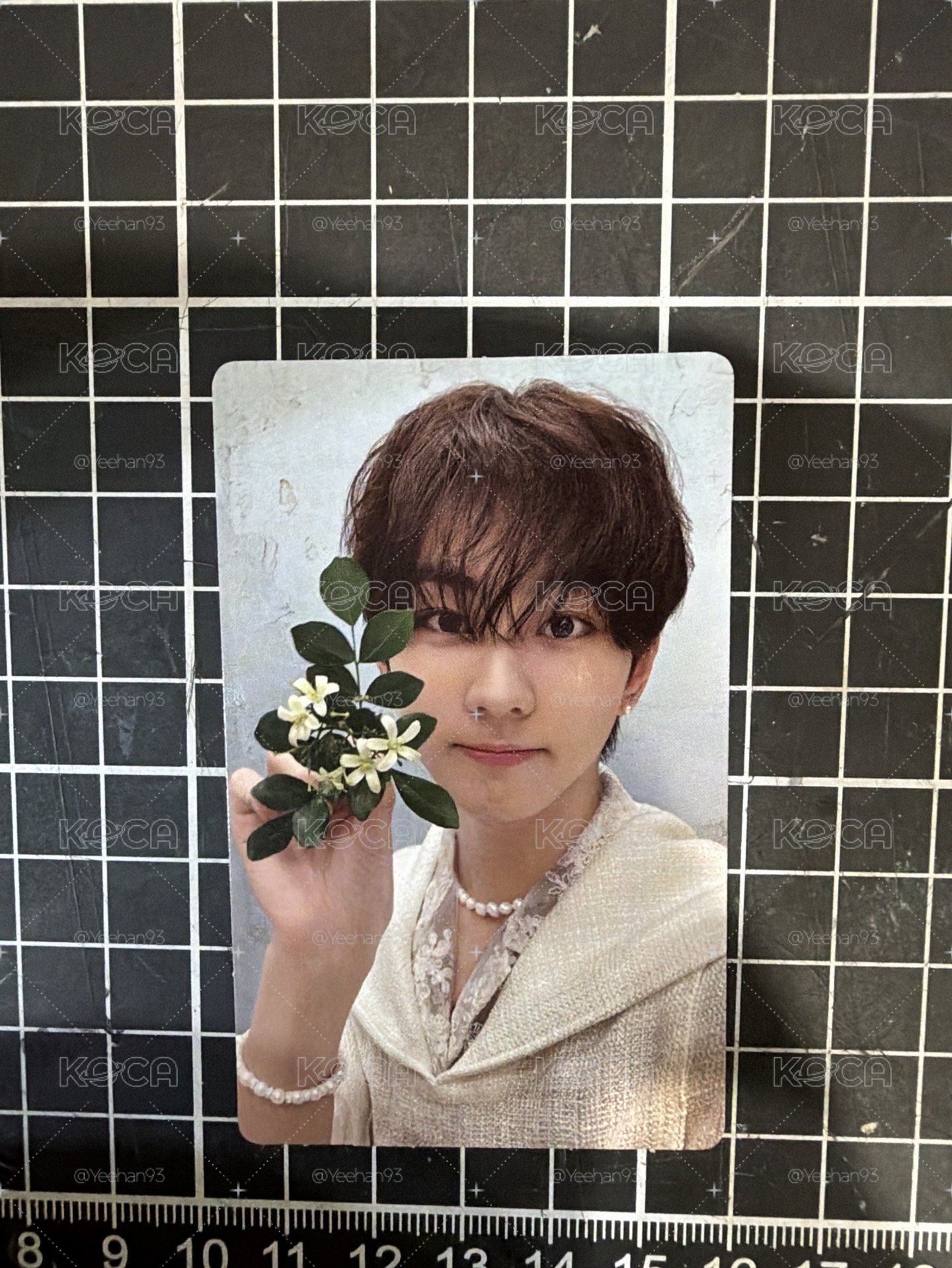 Jungwon 迷五 專輯卡 KALPA ver.
