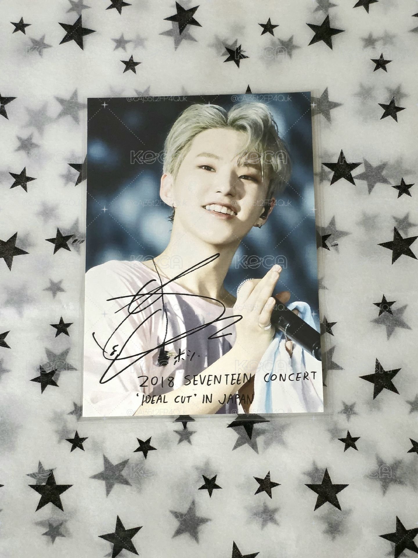 Hoshi IDEAL CUT 生寫真 
