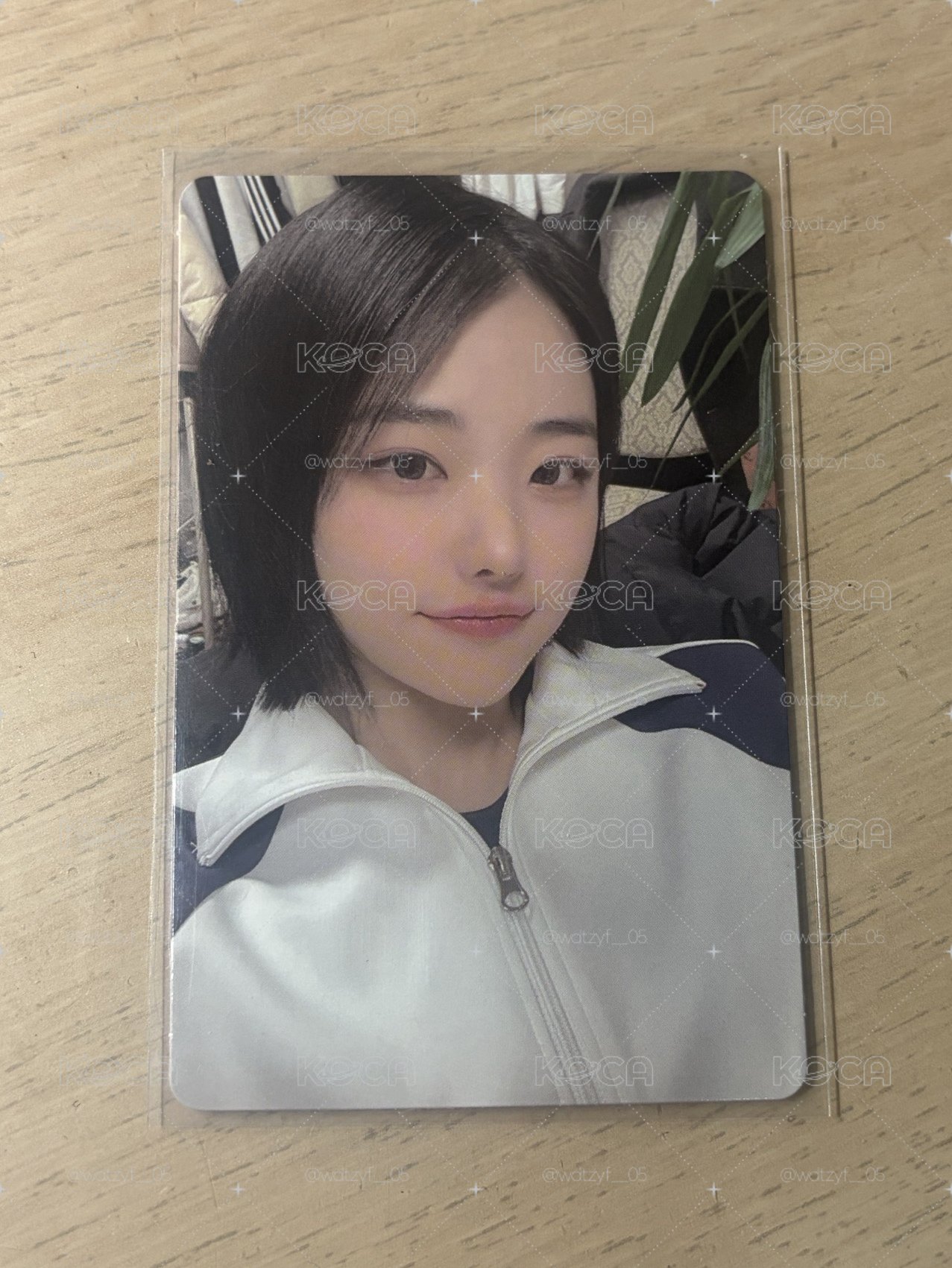 迷一專卡 娜