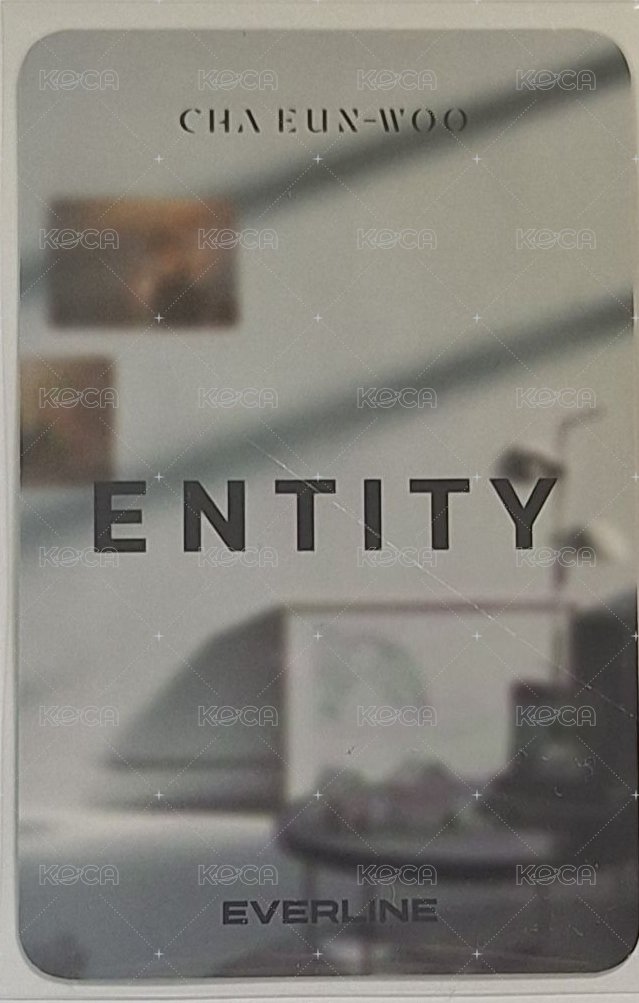 ENTITY el ENTITY 特典卡 everline特典 背面