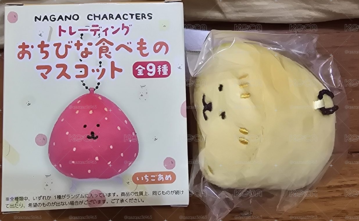 自嘲熊 食物盲盒 醃蘿蔔確認款