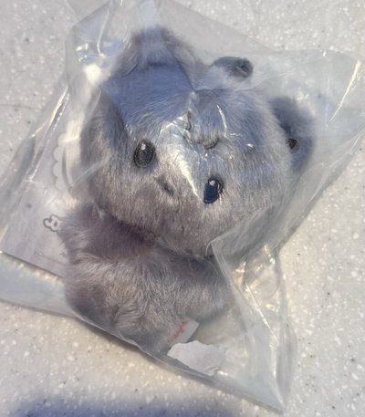 異色現貨