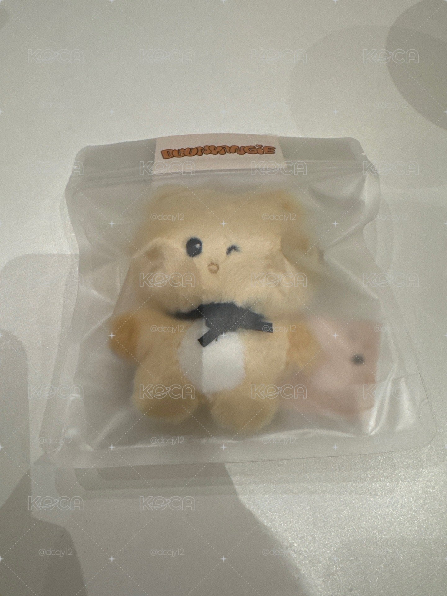 minicatcher 韓東娃