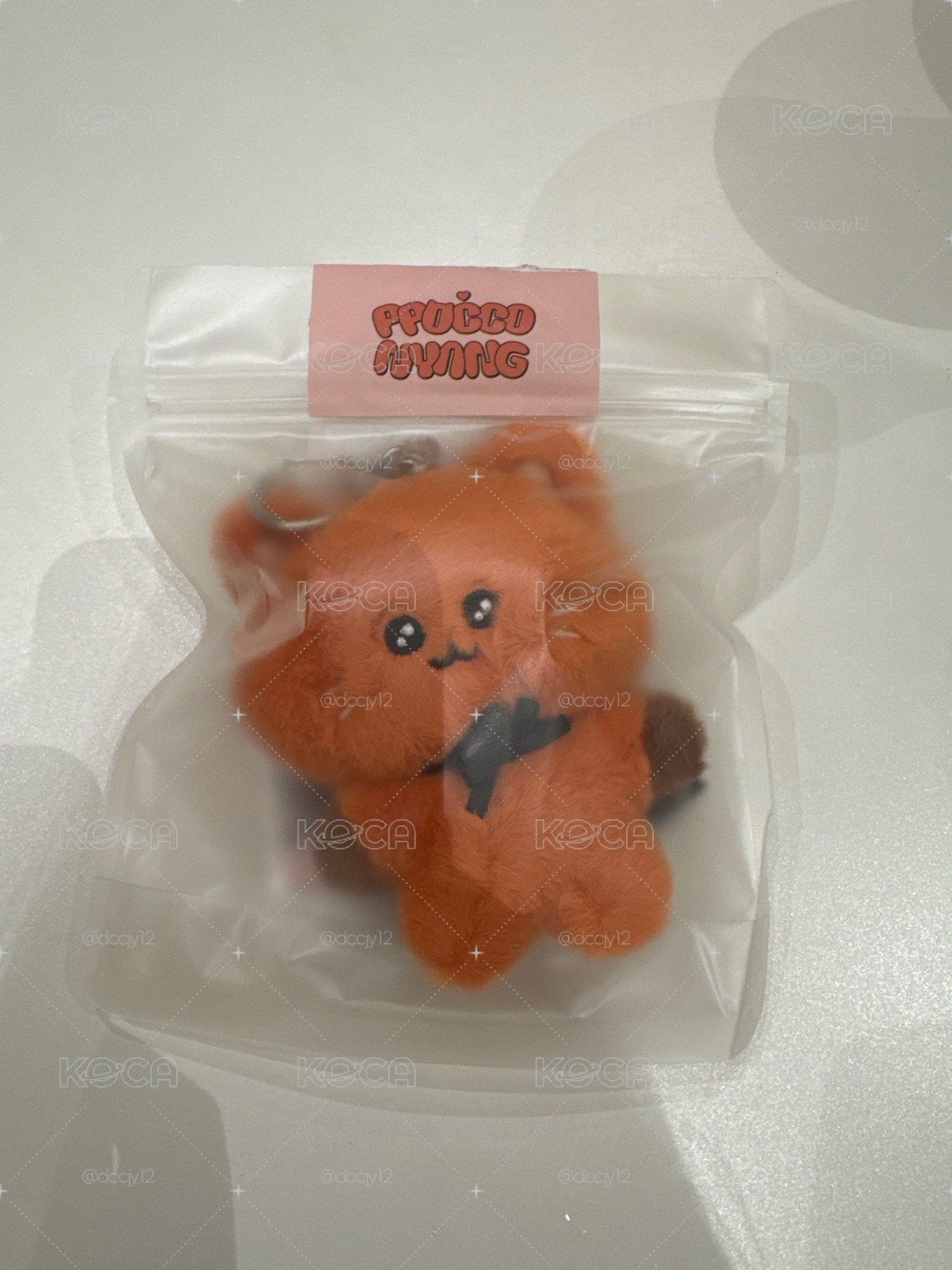 minicatcher 佳泫娃