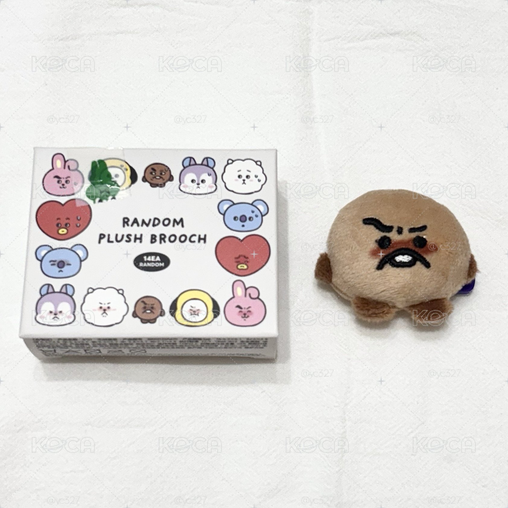 五告shooky