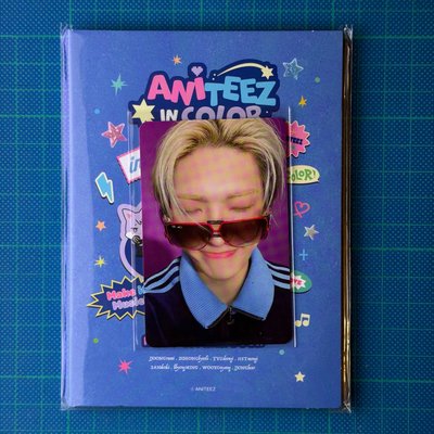 ANITEEZ IN COLOR RETRO STICKER BOOK 琦