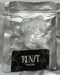 潦草雪白辰