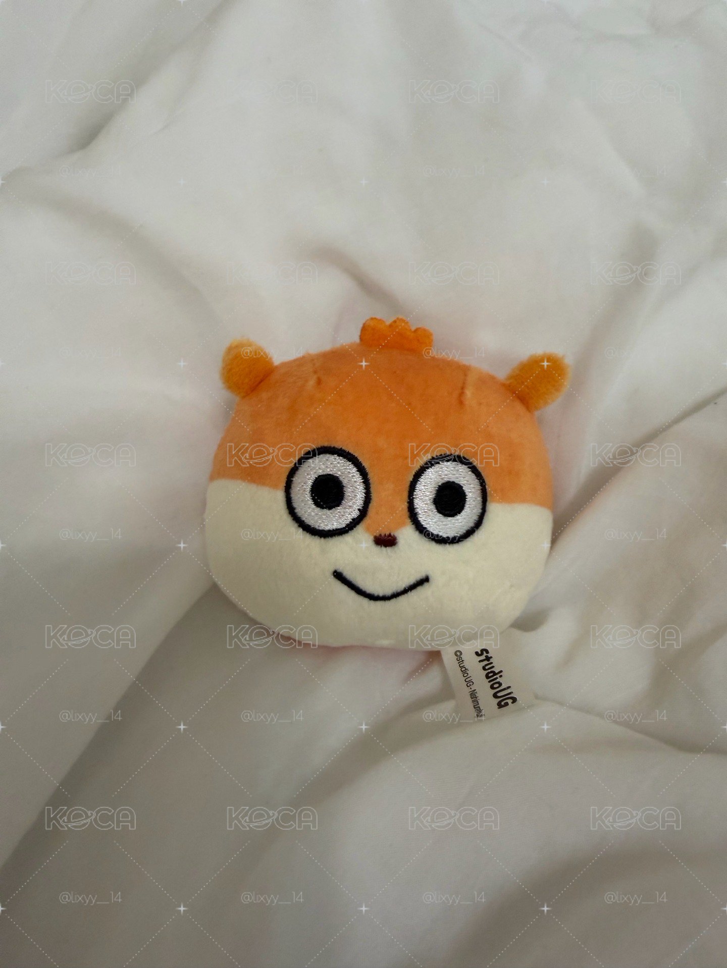 小鼠