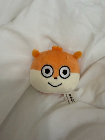 小鼠