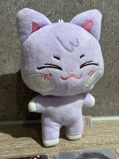 韓拍購入原皮傘 綁傘尼卡10張