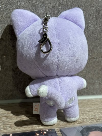 韓拍購入原皮傘 綁傘尼卡10張