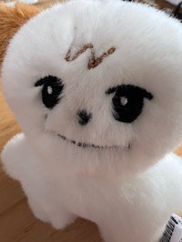 zzzzdh_