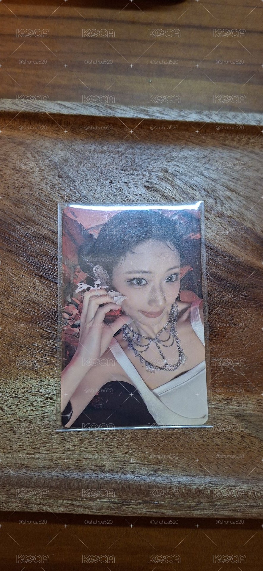 寶怪專卡