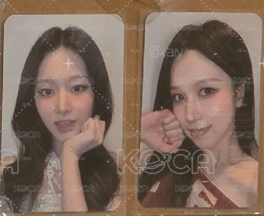 TWICE 絨毛小卡收集冊_娜璉+小卡