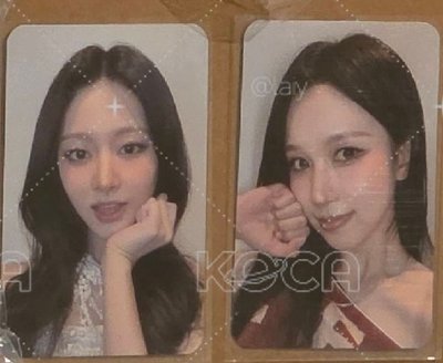 TWICE 絨毛小卡收集冊_娜璉+小卡