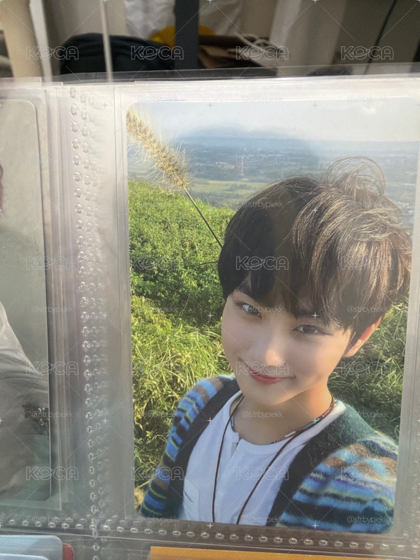 元