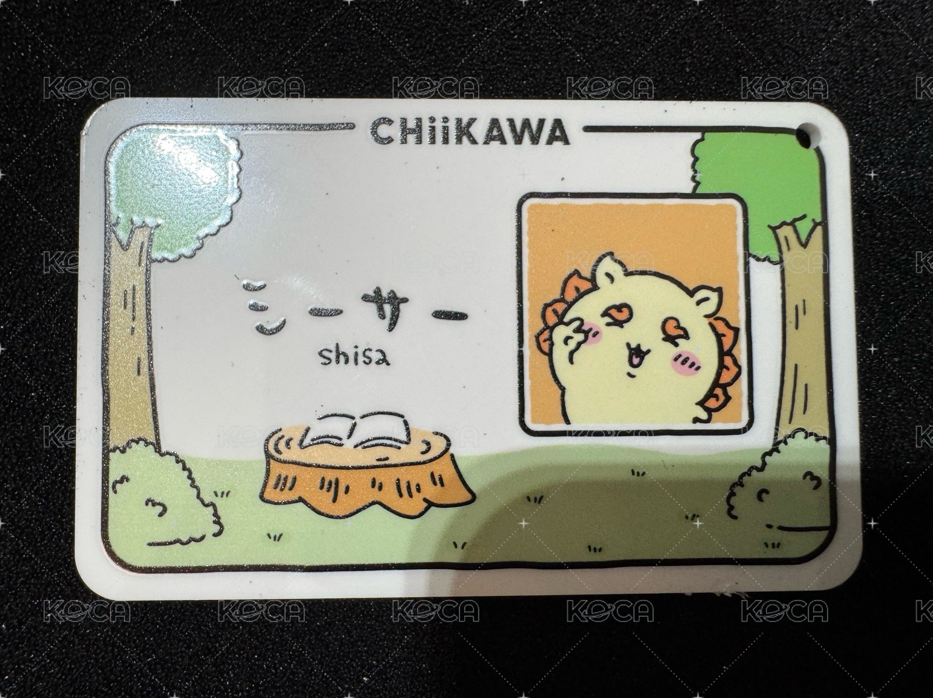 獅薩