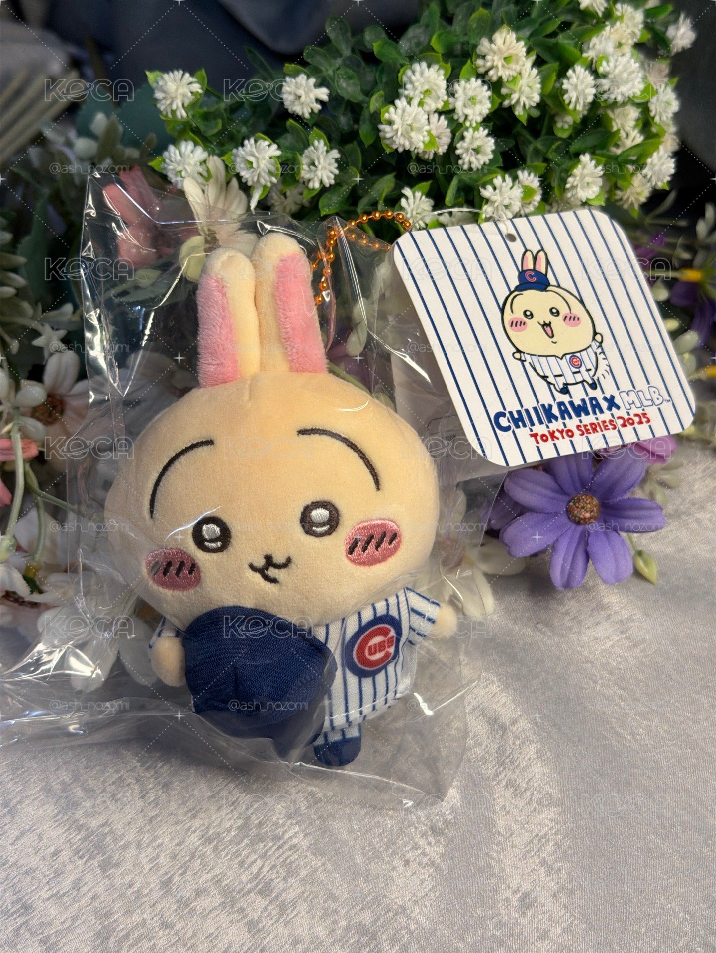 MLB 小熊隊 兔兔