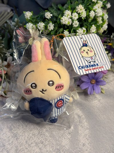 MLB 小熊隊 兔兔