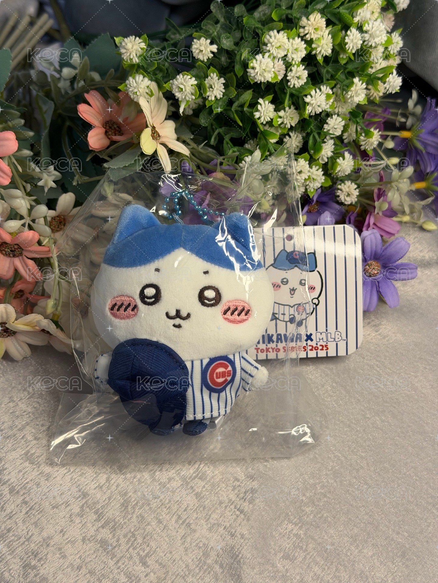 MLB 小熊隊 小八💙